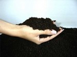 Сертификация грунта